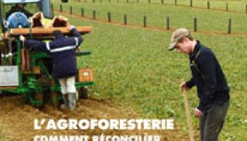 Forêt-entreprise n°205 couv