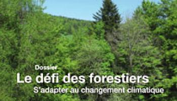 Forêt-entreprise n°211 couv