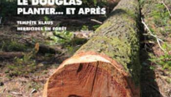 Forêt-entreprise n°188 couv