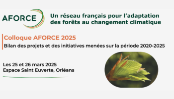 Colloque AFORCE 2025