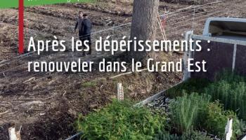 Forêt & Innovation n°2 couv