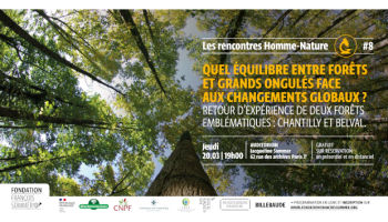 Quel équilibre entre forêts et grands ongulés face aux changements globaux