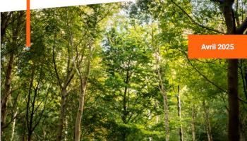 Faciliter l’utilisation des tables de production forestières dans le cadre du Label Bas Carbone