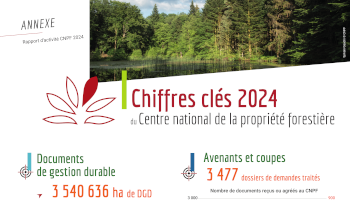 Chiffres clés 2024 du CNPF