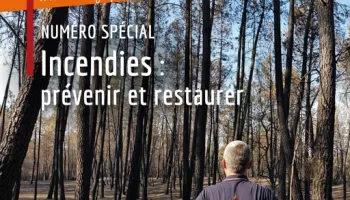 Forêt & Innovation n°3 couv