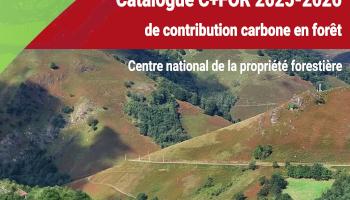 Catalogue C+FOR 2025-2026 de contribution carbone en forêt