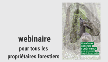 webinaire plateforme forêt-gibier