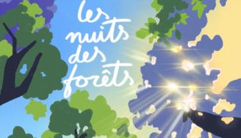 Les nuits des forêts