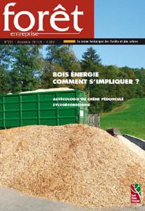 Forêt-entreprise n°201 couv