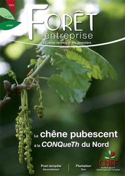Forêt-entreprise n°261 couv