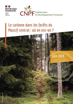 Le carbone dans les forêts du Massif central : où en est-on ?