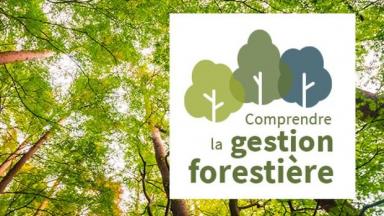 MOOC comprendre la gestion forestière
