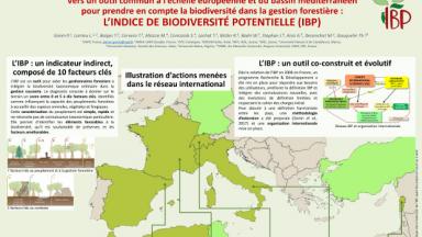 Poster IBP - XVe Congrès forestier mondial