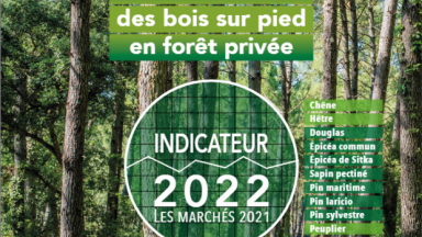 Indicateur 2022 des prix de vente des bois sur pied en forêt privée