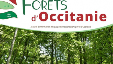 Forêts d'Occitanie n°17