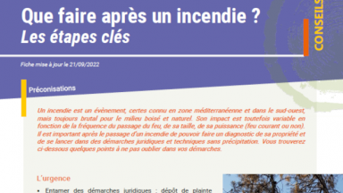 Que faire après un incendie ? Fiche conseil CNPF