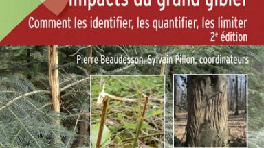 Impacts du grand gibier