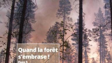 Forêts privées de Bourgogne Franche-Comté n°15