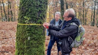 Mesures pour l'adaptation de l'IBP avec Pierre Gonin, CNPF-IDF, et un forestier grec.