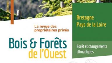 Bois et Forêts de l'Ouest N°10