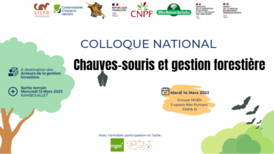 Colloque national chauve-souris et gestion forestière