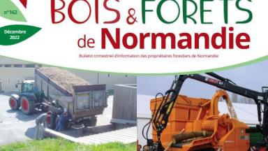 Bois du Nord et Bois n°71 et Forêts de Normandie n°162