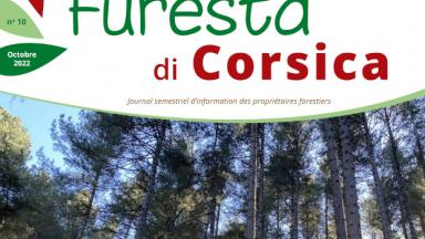 Furesta di corsica n°10