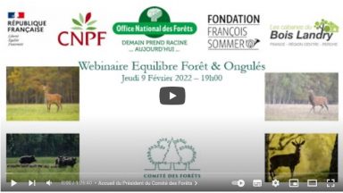 Webinaire Equilibre forêt & gibier 9 février 2023