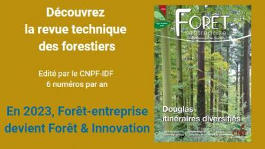 Découvrez Forêt-entreprise