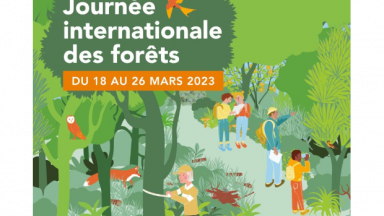 Journée internationale des forêts 2023