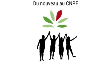 Equipe CNPF