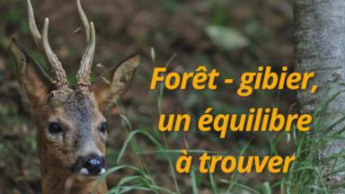 Parlons Forêt n°24 de mars 2023
