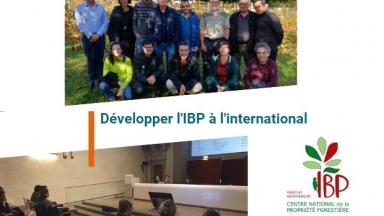 Comité international d’experts de l'IBP