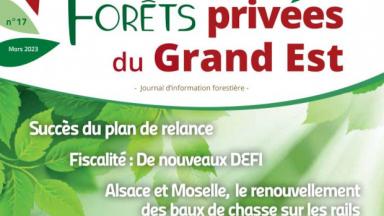 Forêts privées du Grand Est n°17