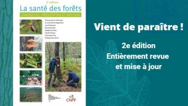 La santé des forêts - 2e édition