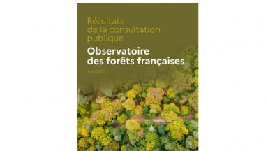 Consultation publique sur l’Observatoire des forêts françaises