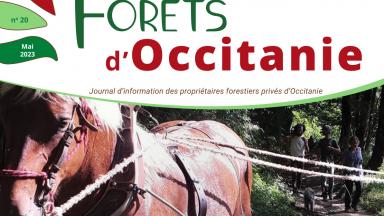 Forêts d'Occitanie n°20