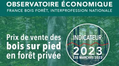 Indicateur 2023 des prix de vente des bois sur pied en forêt privée
