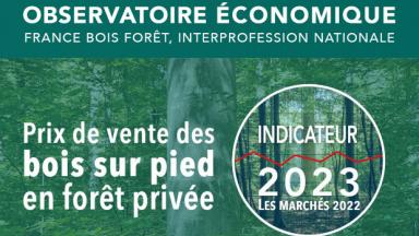 Indicateur 2023 des prix de vente des bois sur pied en forêt privée