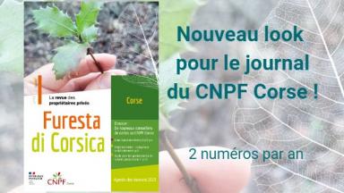 Furesta di Corsica n°11