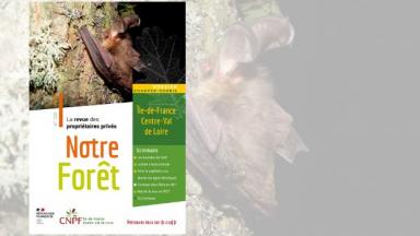 Notre Forêt n°103