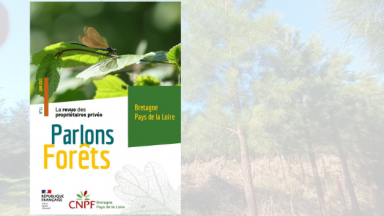 Parlons Forêts en Bretagne - Pays de Loire n°11