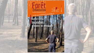 Forêt & Innovation n°3