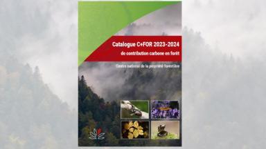 Catalogue C+FOR 2023-2024 des projets carbone au CNPF