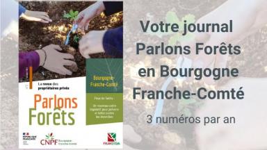 Parlons forêts en Bourgogne-Franche-Comté n°2