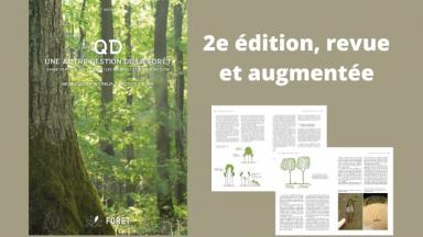 QD, Une autre gestion de la forêt