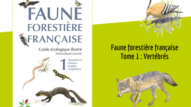 Faune forestière française - Tome 1