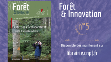 Forêt & Innovation n°5