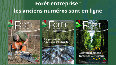  Forêt-entreprise :  les anciens numéros sont en ligne