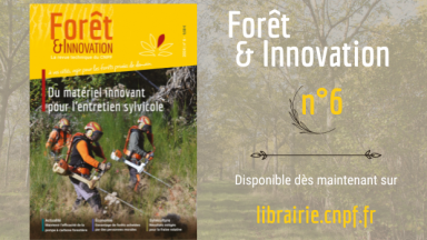 Forêt & Innovation n°6